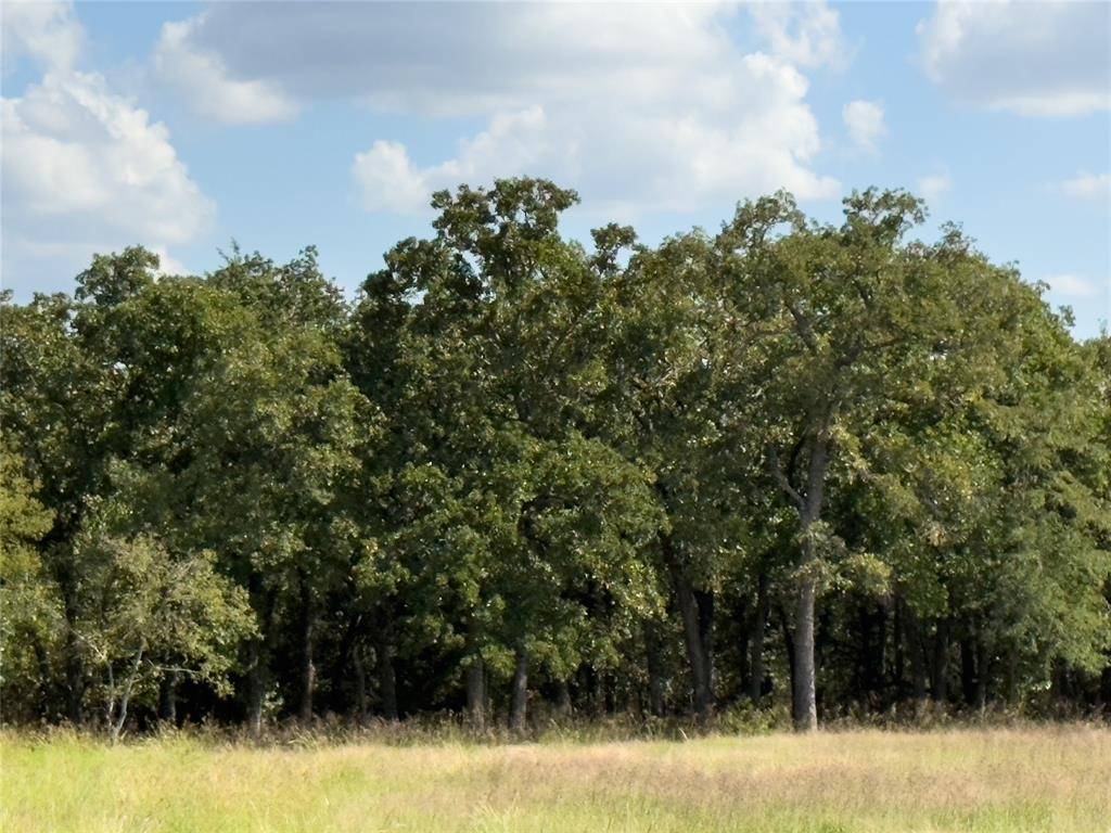 330 Rolling Ranch Boulevard, Alvord, TX 76225
