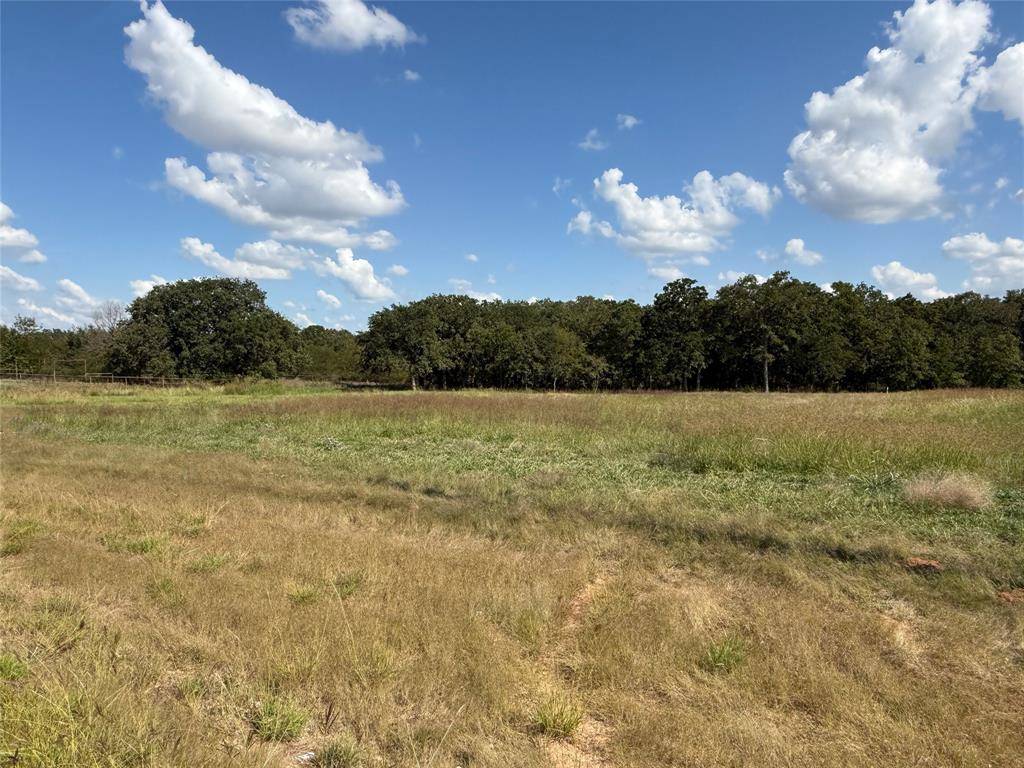 330 Rolling Ranch Boulevard, Alvord, TX 76225