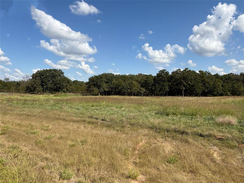 330 Rolling Ranch Boulevard, Alvord, TX 76225