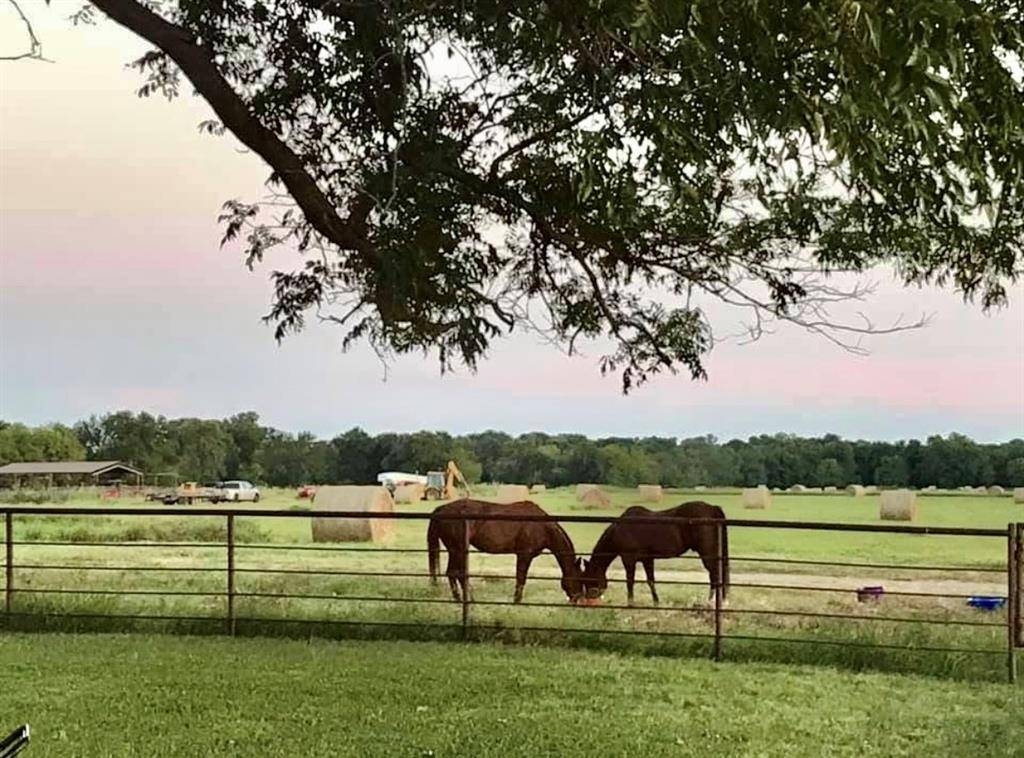 4798 E FM 198, Lake Creek, TX 75450