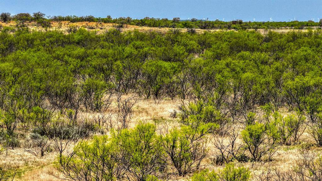 5600 Roney Road, Jermyn, TX 76459