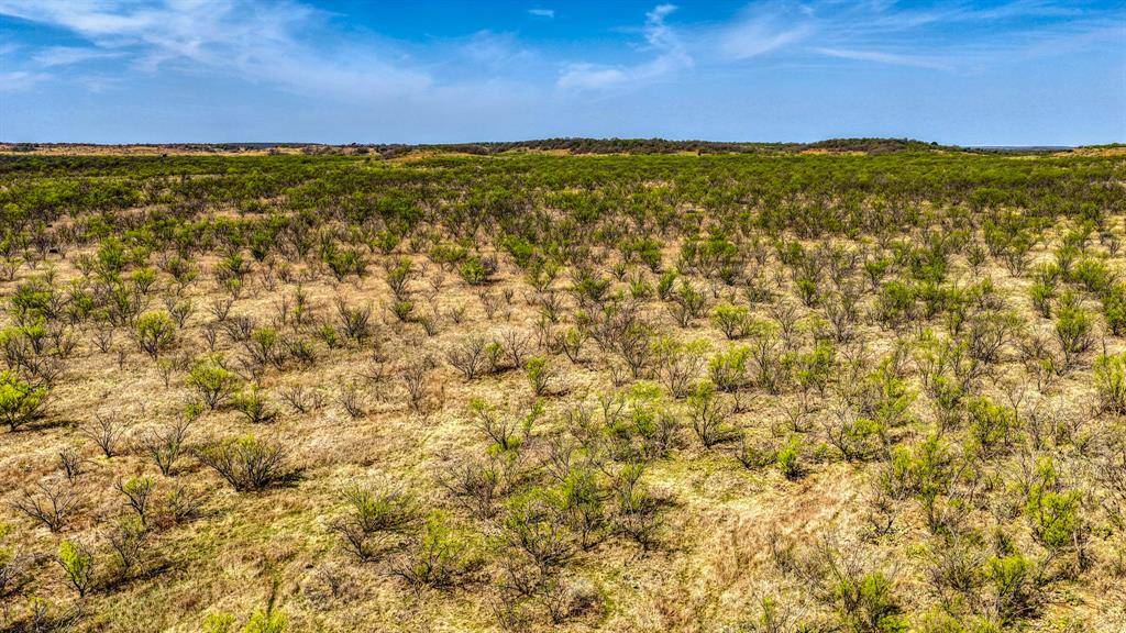 5600 Roney Road, Jermyn, TX 76459