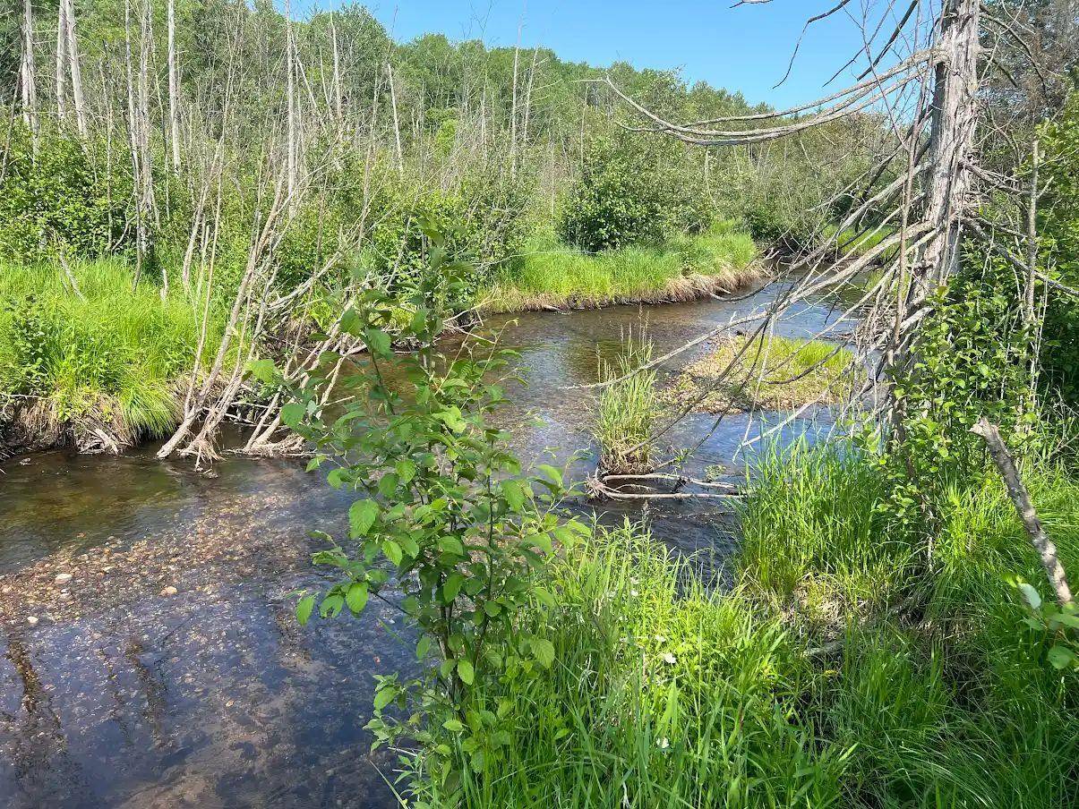 188 W Procunier RD, Millen Twp, MI 48745