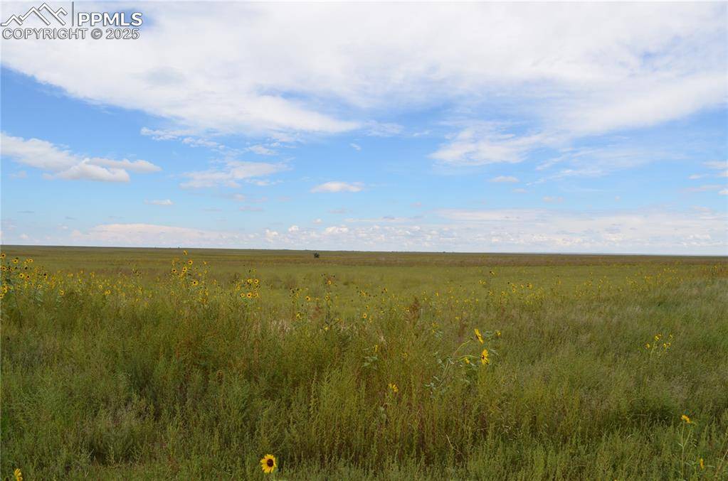 Parcel 6 County Road 2, Rush, CO 80833