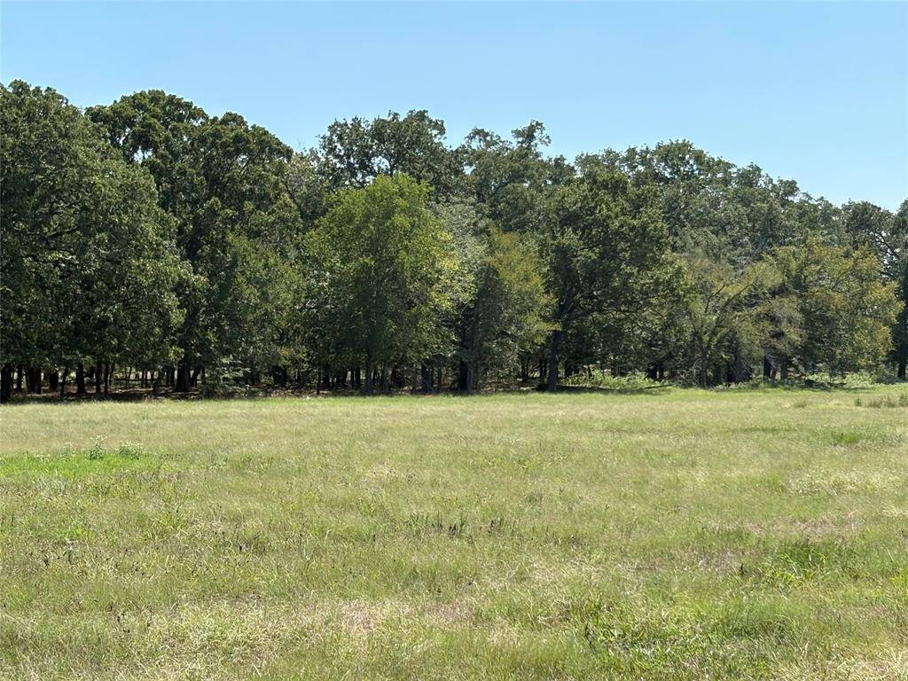 TBD County Road 1168 #3, Brashear, TX 75420