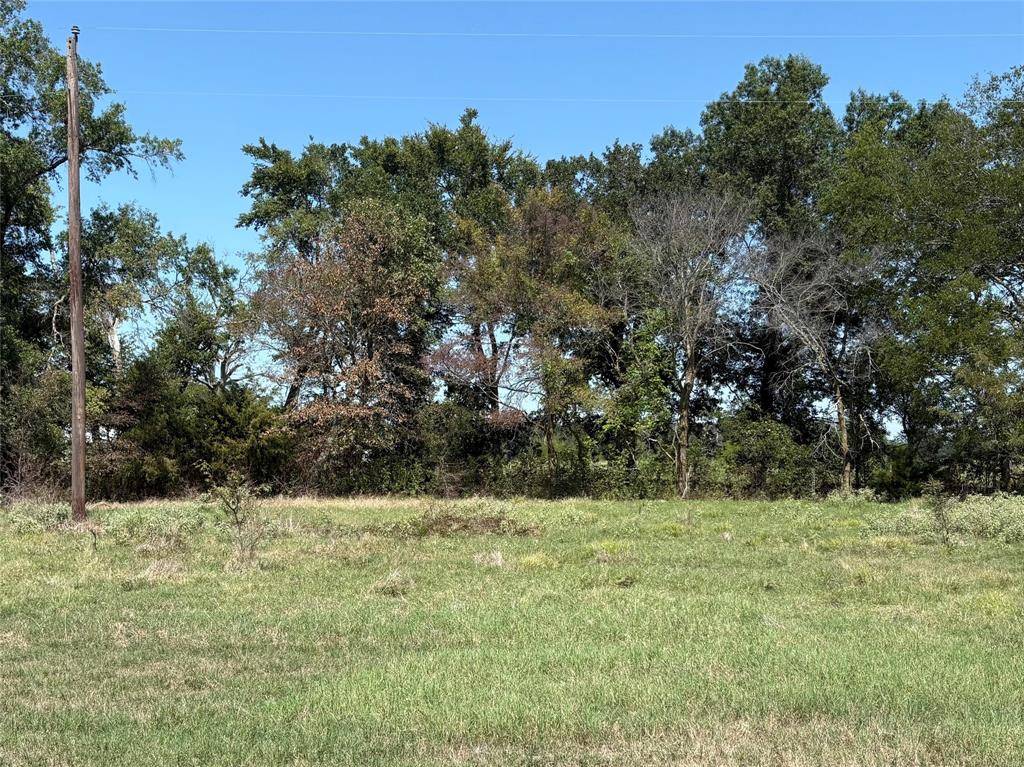 TBD County Road 1168 #3, Brashear, TX 75420