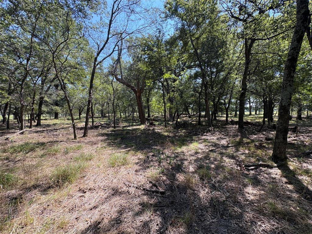 TBD County Road 1168 #3, Brashear, TX 75420
