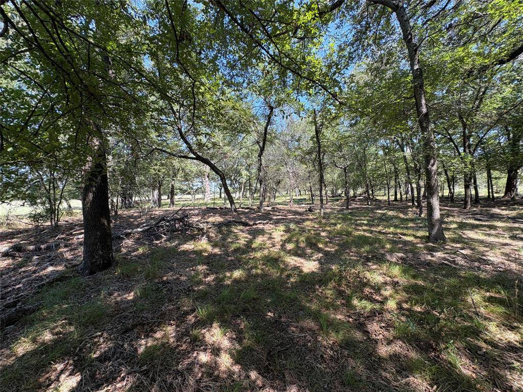 TBD County Road 1168 #3, Brashear, TX 75420