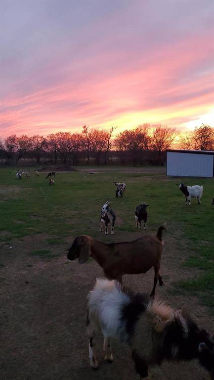 131 Hcr 1417, Covington, TX 76636