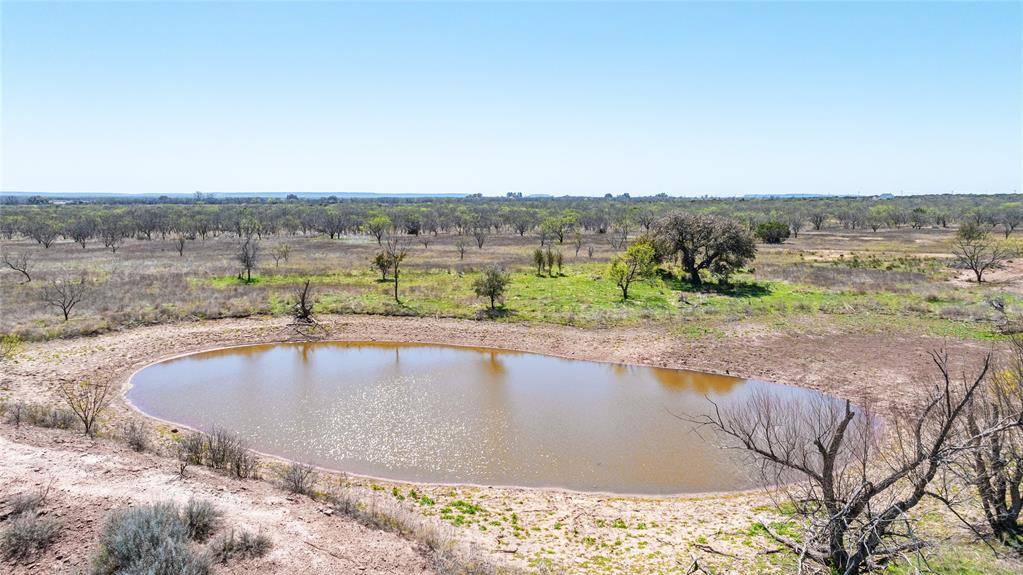 T.B.D. Fm 614, Ovalo, TX 79541