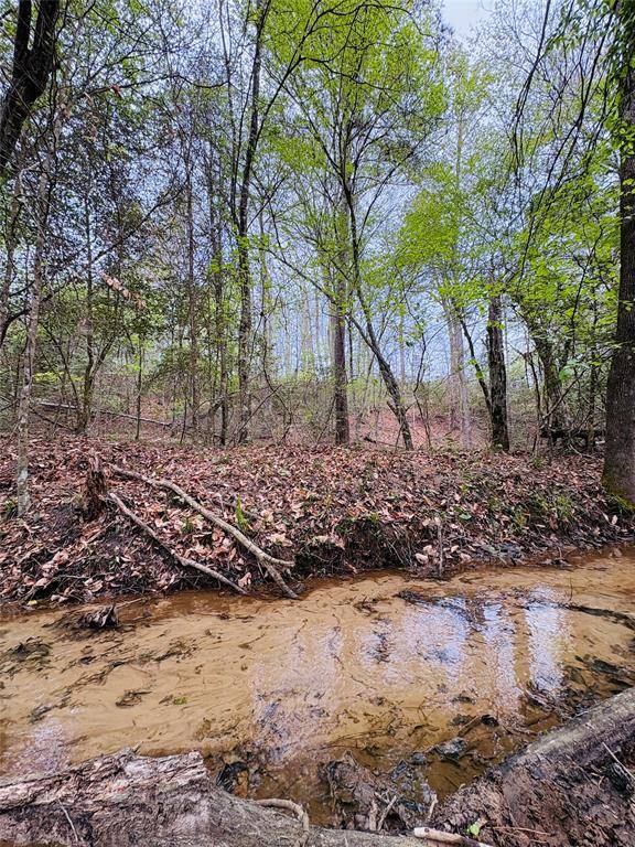 TBD (Tract A) FM 711, Center, TX 75935