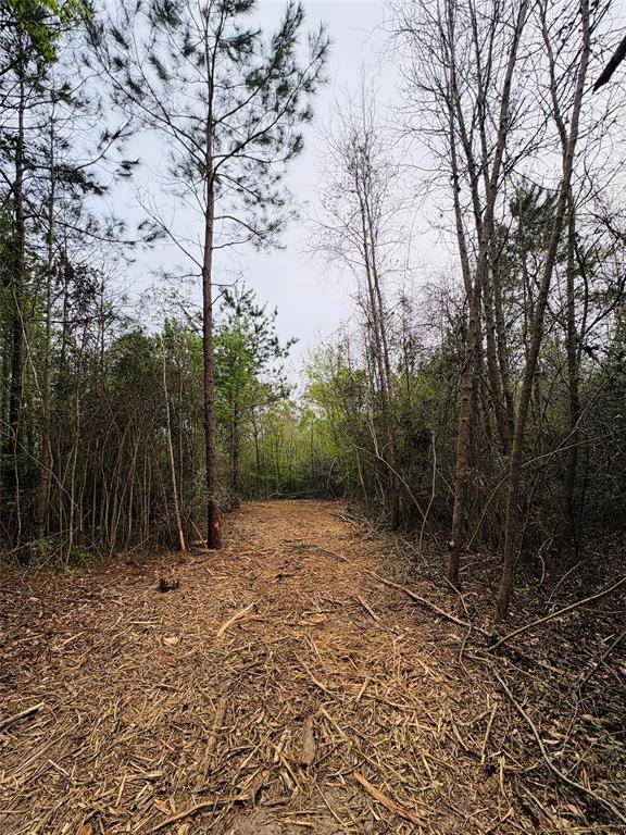 TBD (Tract A) FM 711, Center, TX 75935