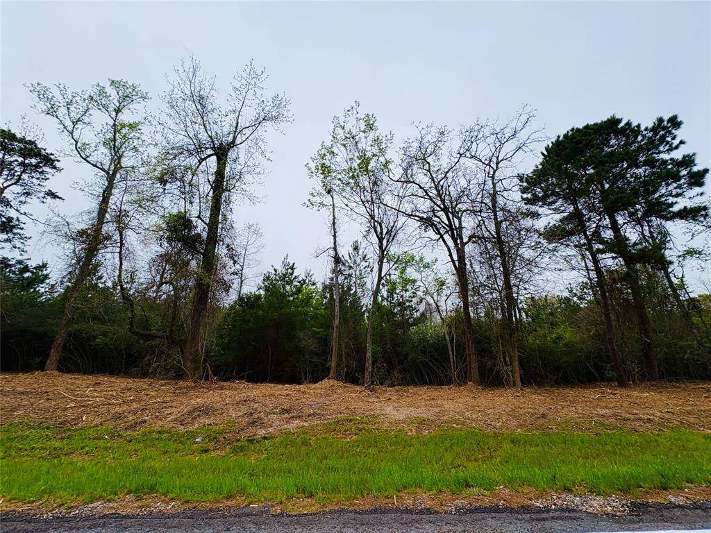 TBD (Tract A) FM 711, Center, TX 75935