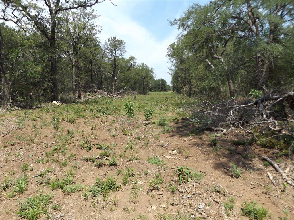 W. 34.1 Hoffman Road, Loving, TX 76460