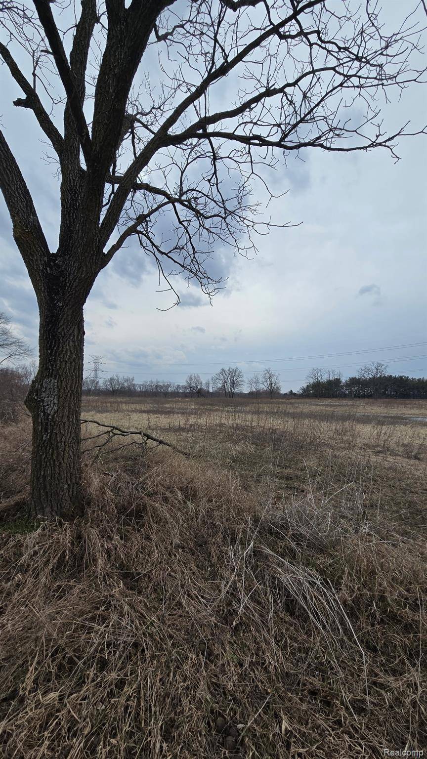 000 E Austin RD, Bridgewater Township, MI 48158