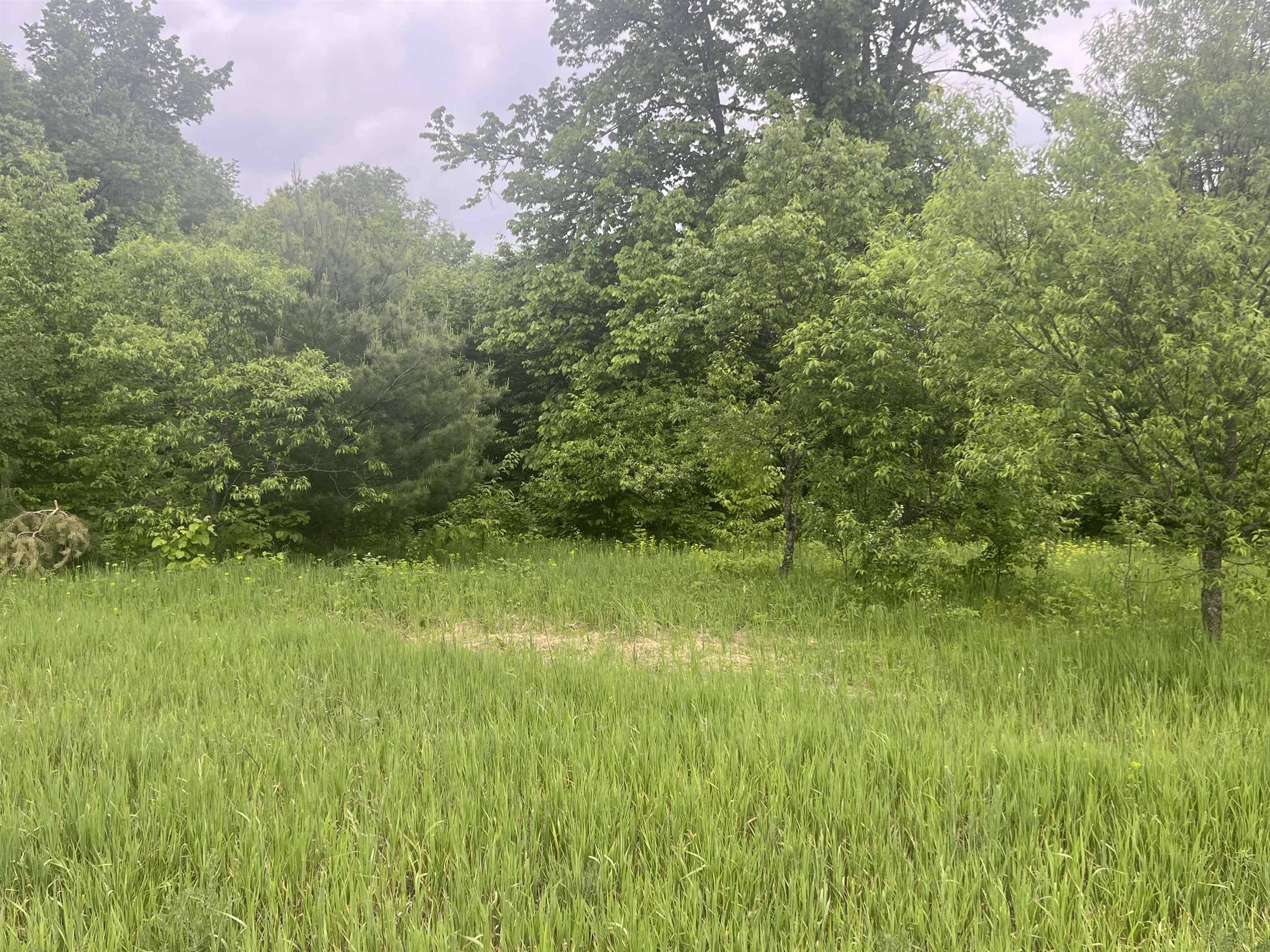 00 Wood Road, NE, Coldsprings Twp, MI 49646