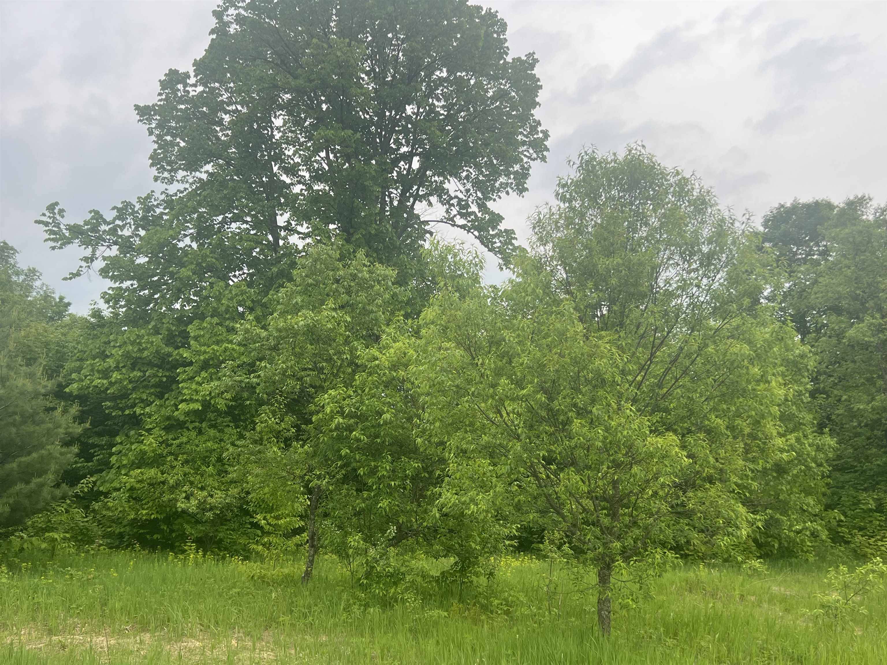 00 Wood Road, NE, Coldsprings Twp, MI 49646