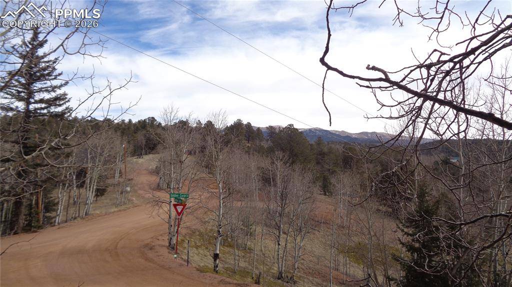 1548 Golden Cycle CIR, Cripple Creek, CO 80813