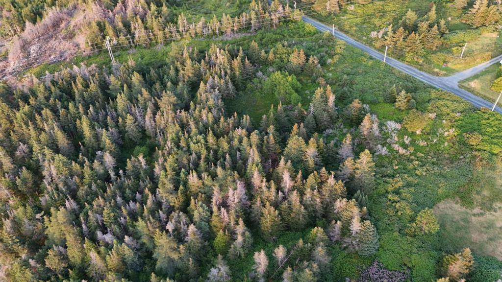 0 Clarkes Road, Carbonear, NL A1Y 1A6