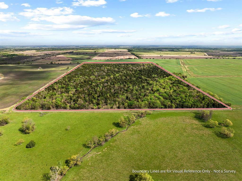 TBD County Road 3230, Ben Franklin, TX 75415