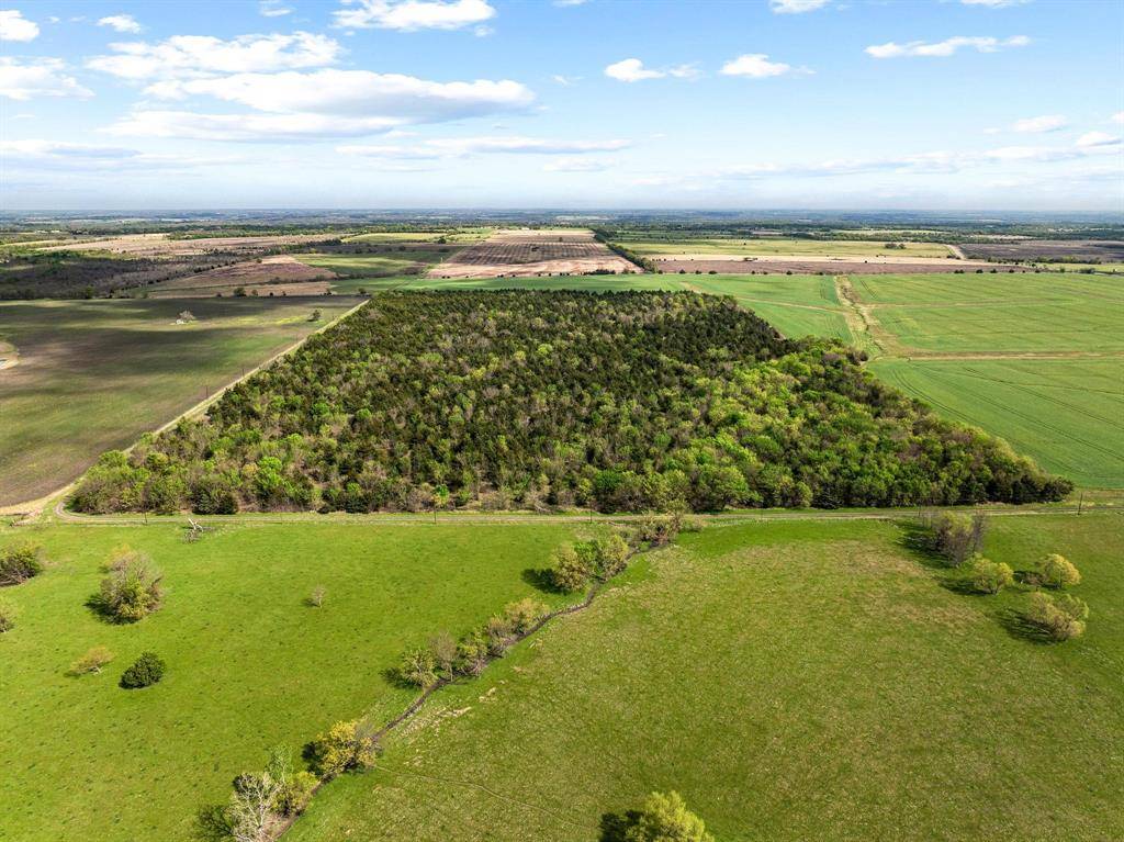 TBD County Road 3230, Ben Franklin, TX 75415