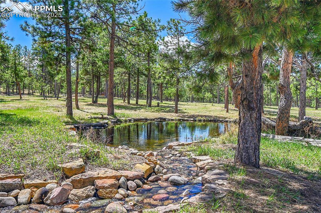 17350 Goshawk RD, Colorado Springs, CO 80908