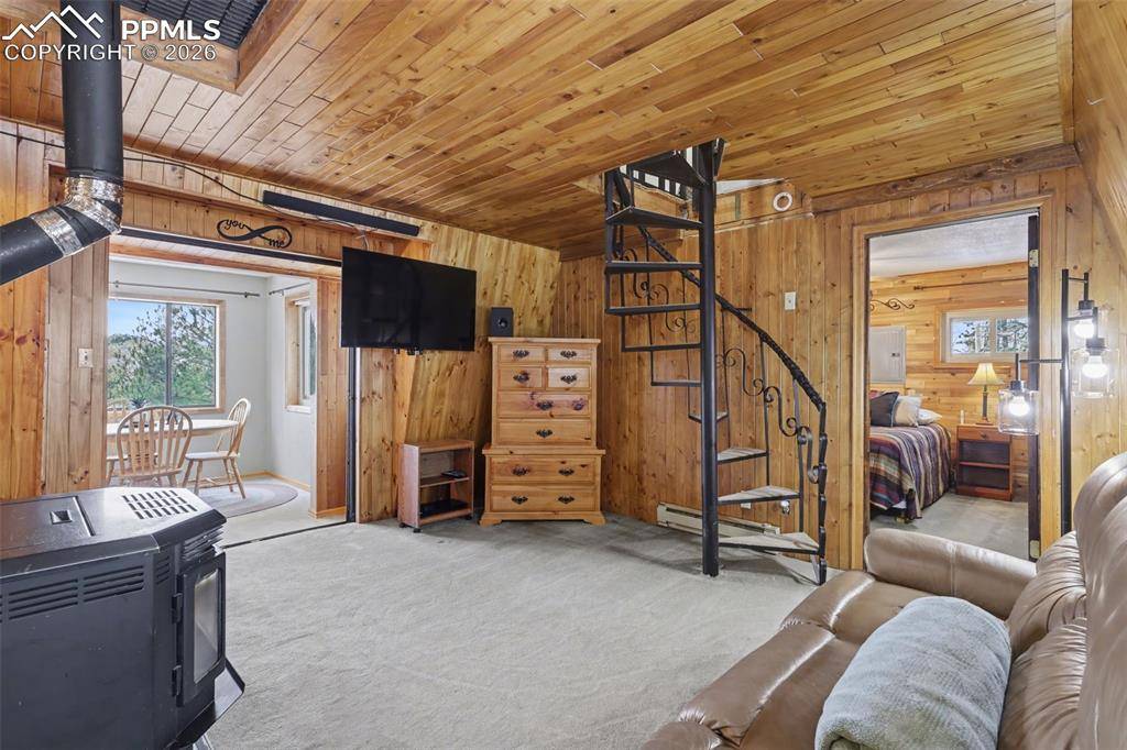 76 Pine DR, Woodland Park, CO 80863