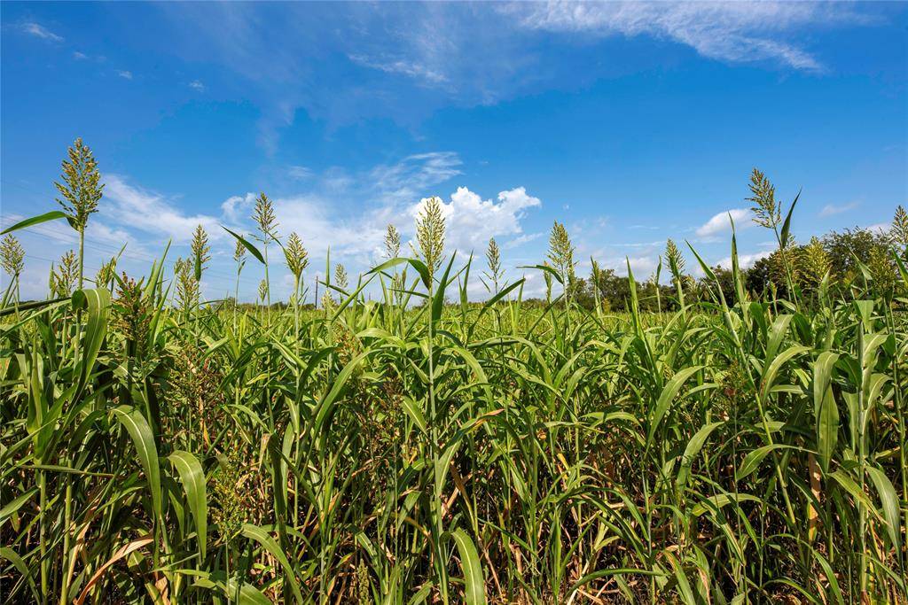 395 County Road 2530, Meridian, TX 76665