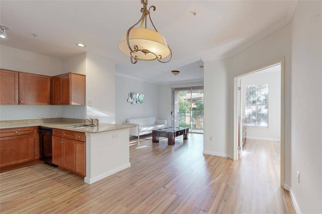 330 Las Colinas Boulevard E #252, Irving, TX 75039