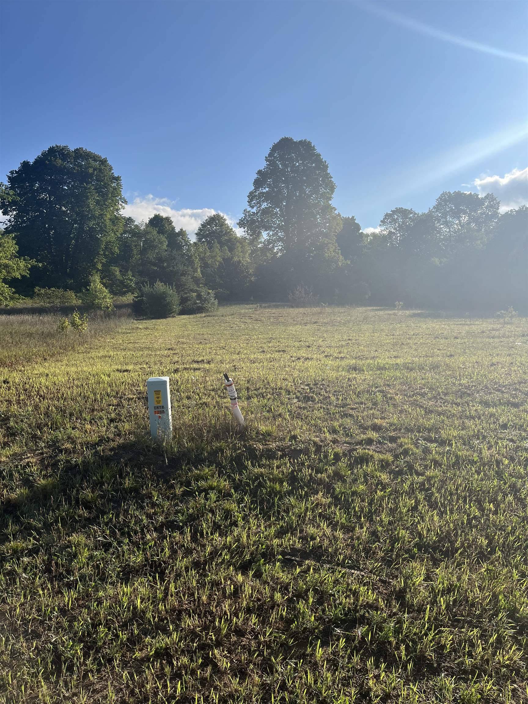 9261 Kingsfield DR, Mayfield Twp, MI 49649