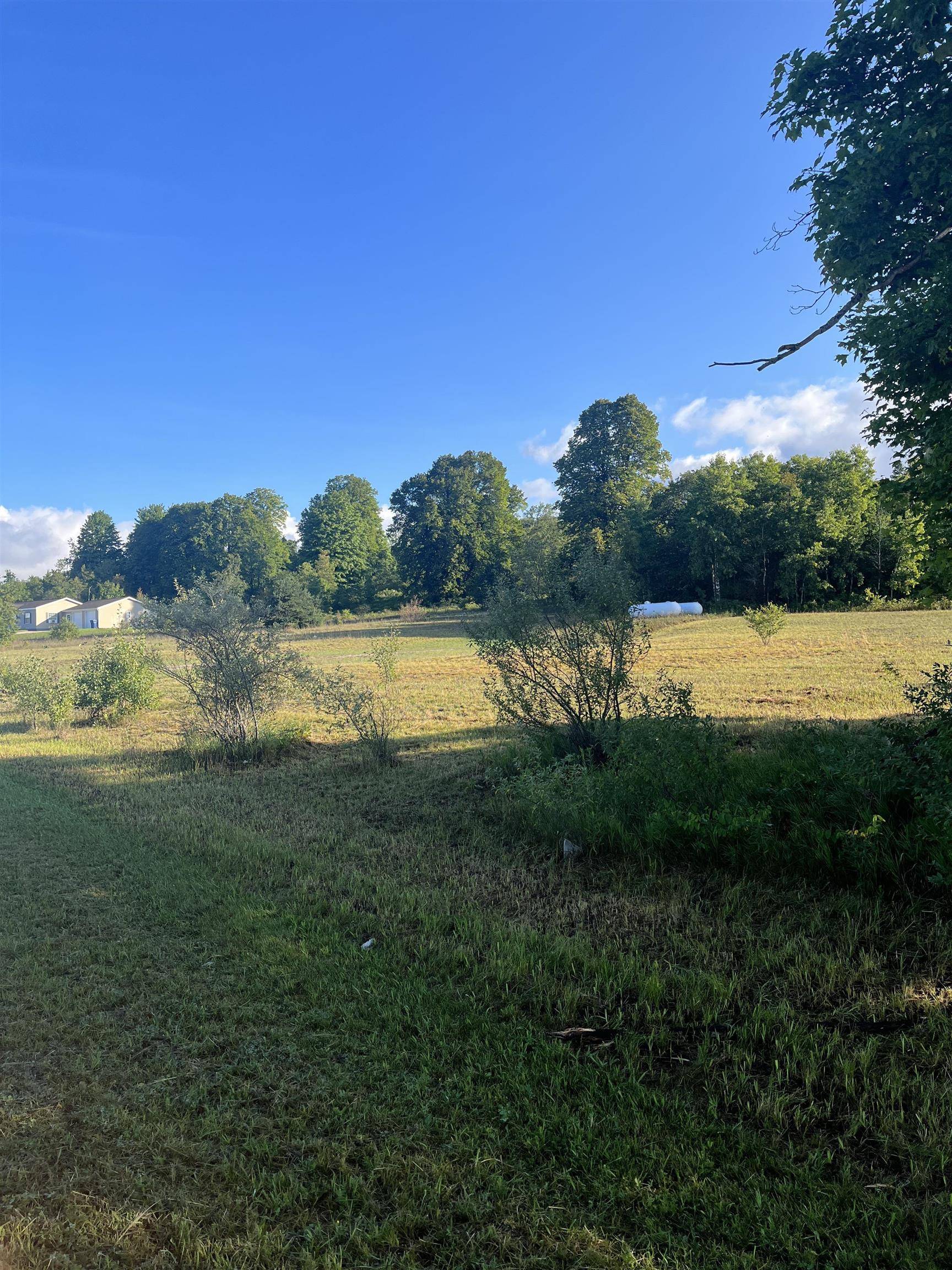 9261 Kingsfield DR, Mayfield Twp, MI 49649