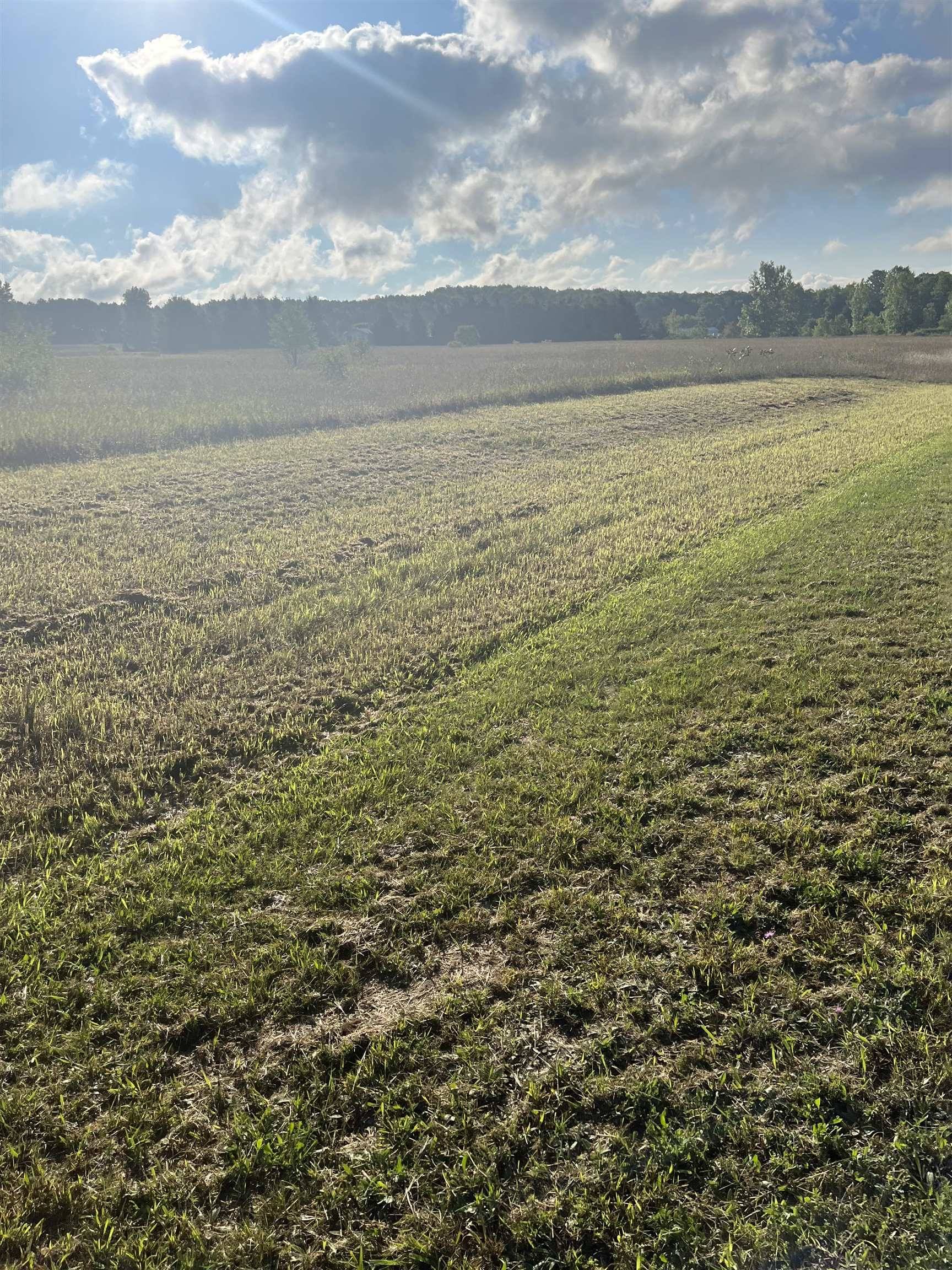 9261 Kingsfield DR, Mayfield Twp, MI 49649