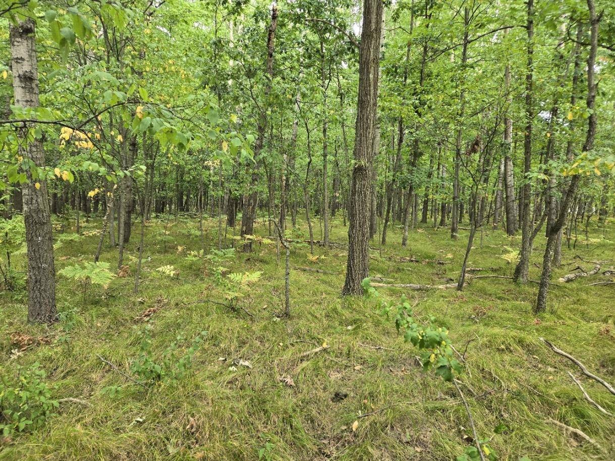 1009 Castle DR, Sherman Twp, MI 48893