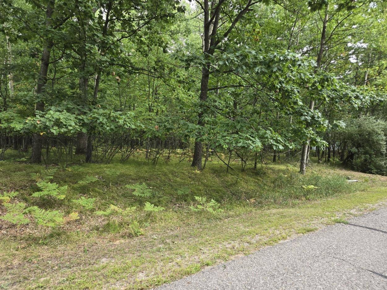 1009 Castle DR, Sherman Twp, MI 48893