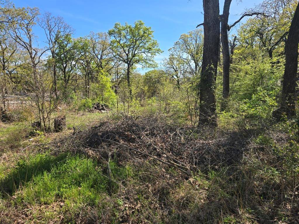 Lot 742 Oak Haven Drive, Gun Barrel City, TX 75156