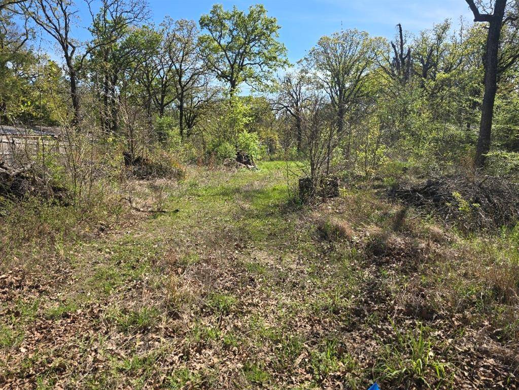 Lot 742 Oak Haven Drive, Gun Barrel City, TX 75156