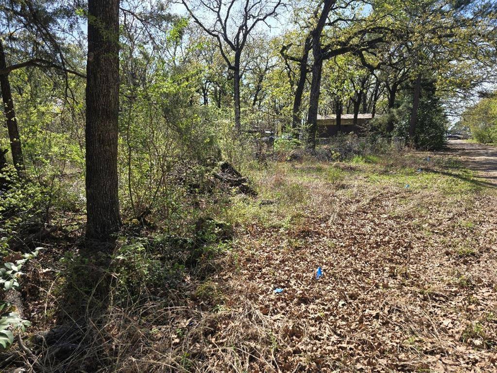 Lot 742 Oak Haven Drive, Gun Barrel City, TX 75156