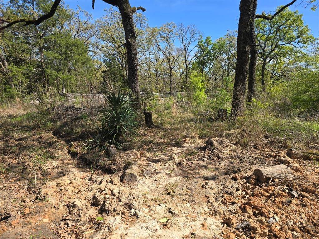 Lot 742 Oak Haven Drive, Gun Barrel City, TX 75156