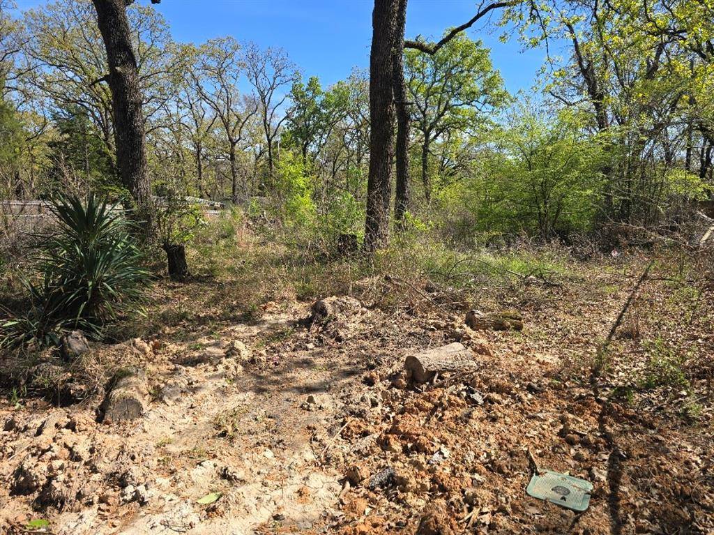 Lot 742 Oak Haven Drive, Gun Barrel City, TX 75156