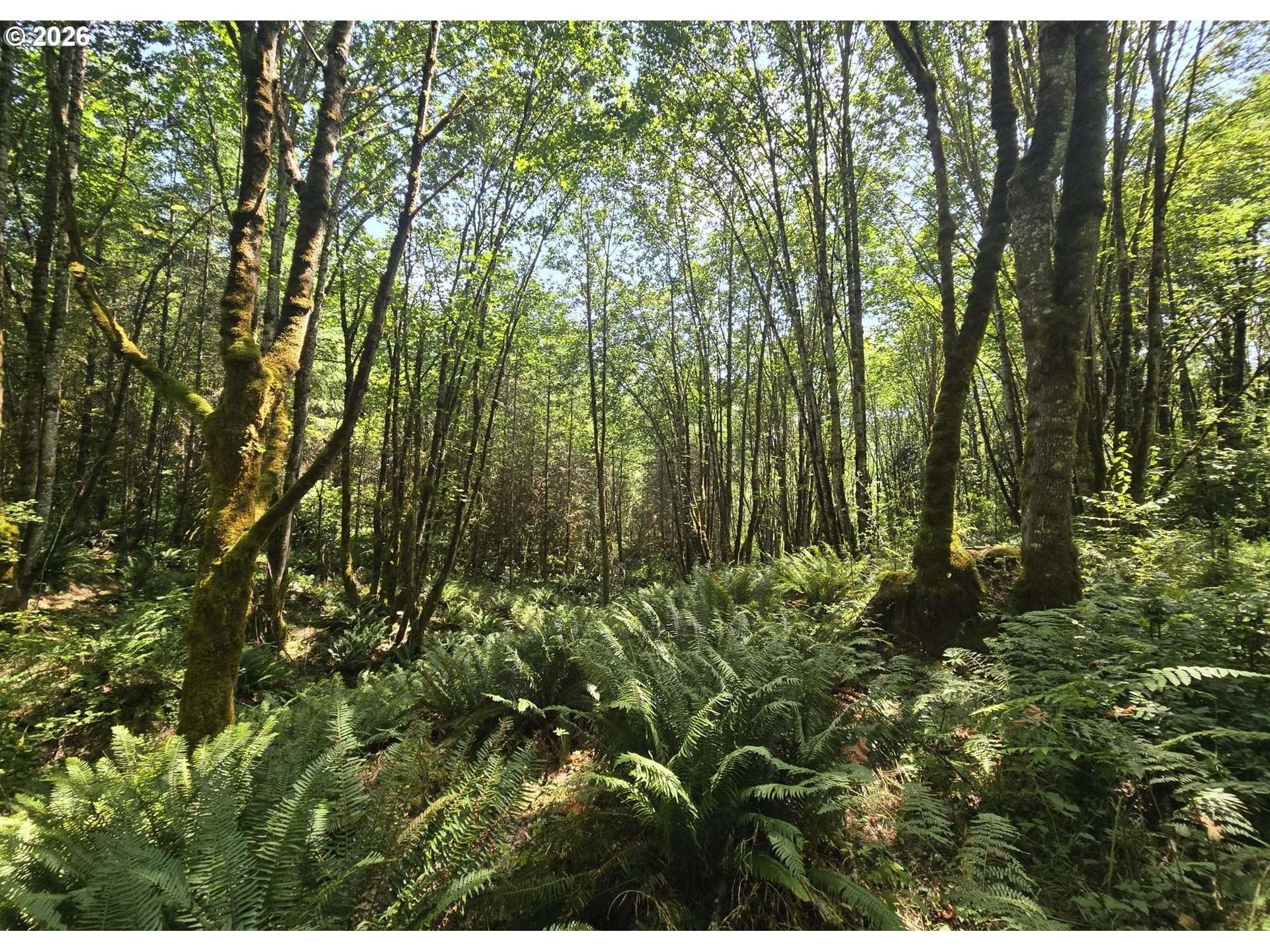 Tide Creek RD, Rainier, OR 97048