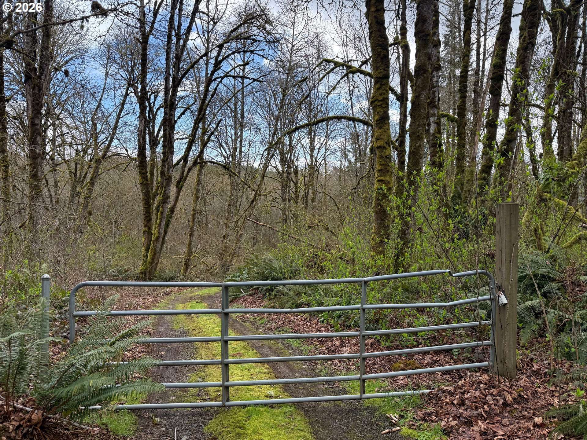 Tide Creek RD, Rainier, OR 97048