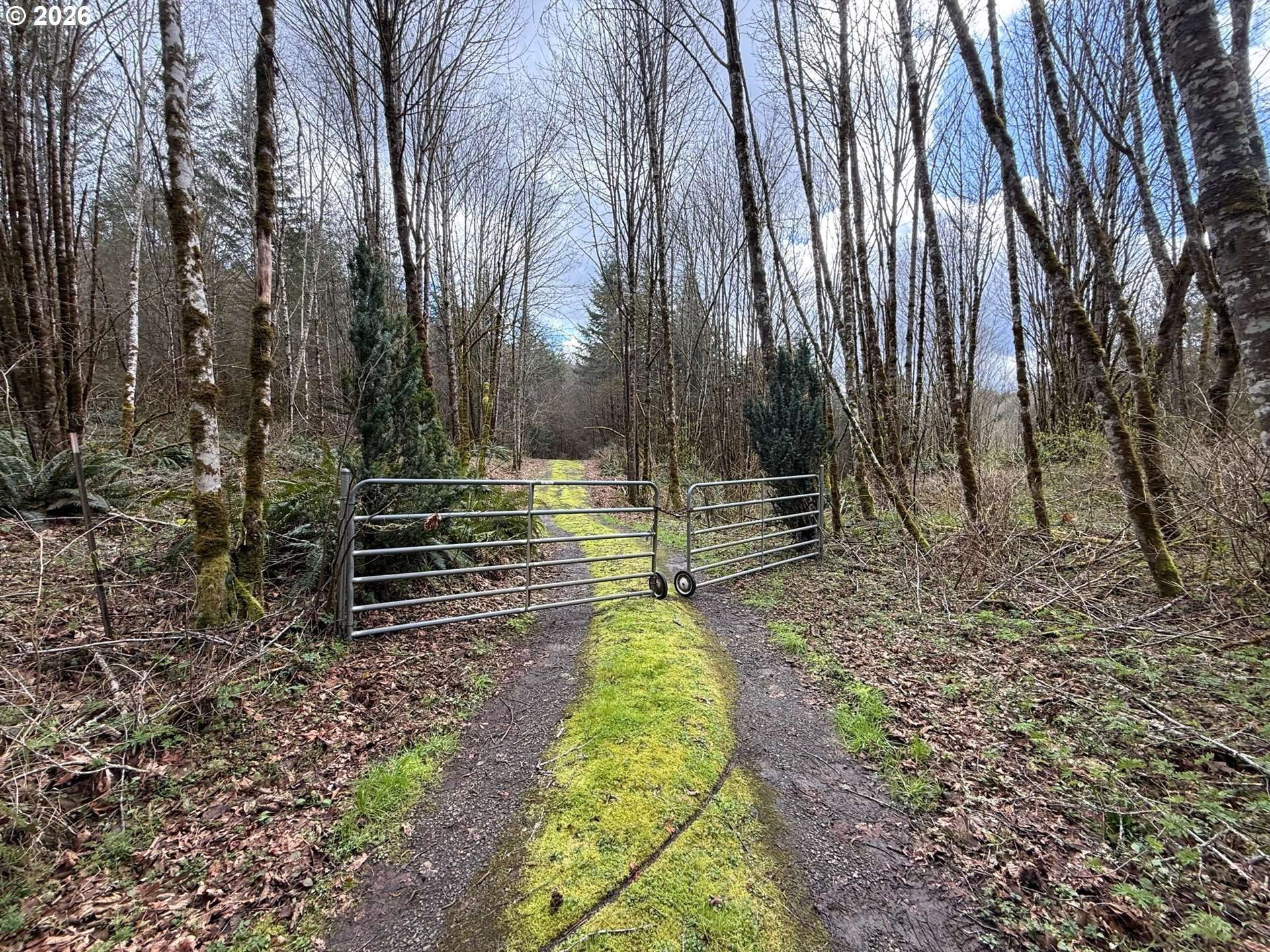 Tide Creek RD, Rainier, OR 97048