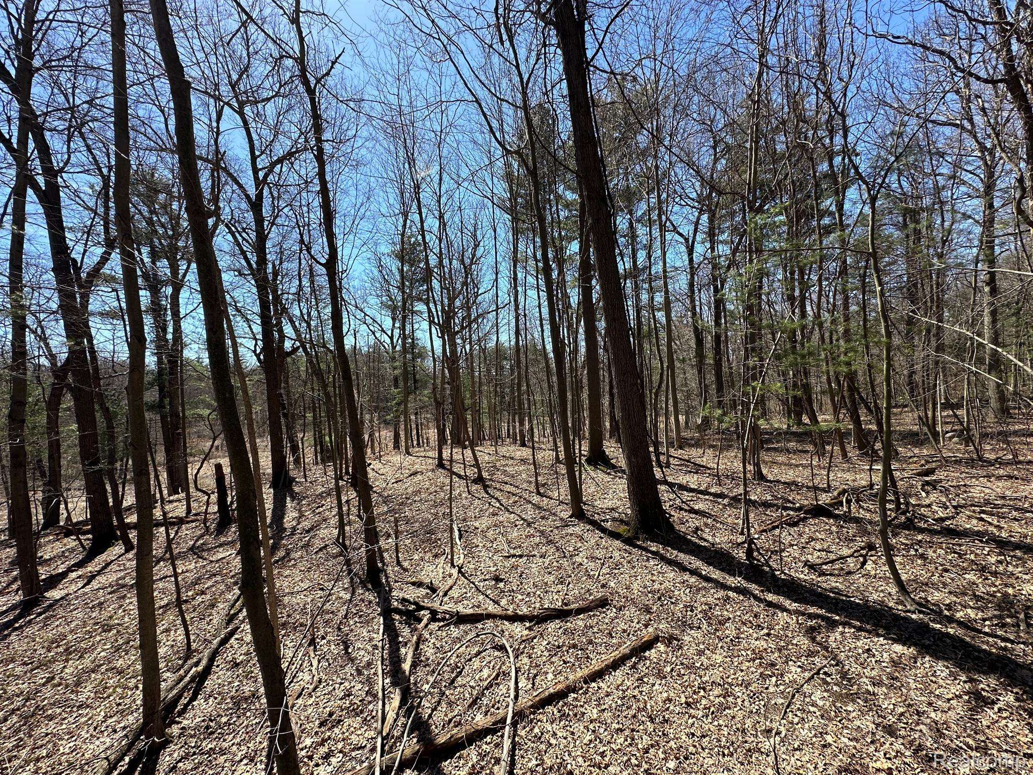 2.05 Acres VL - KNIGHTS BRIDGE RD, Addison Township, MI 48367