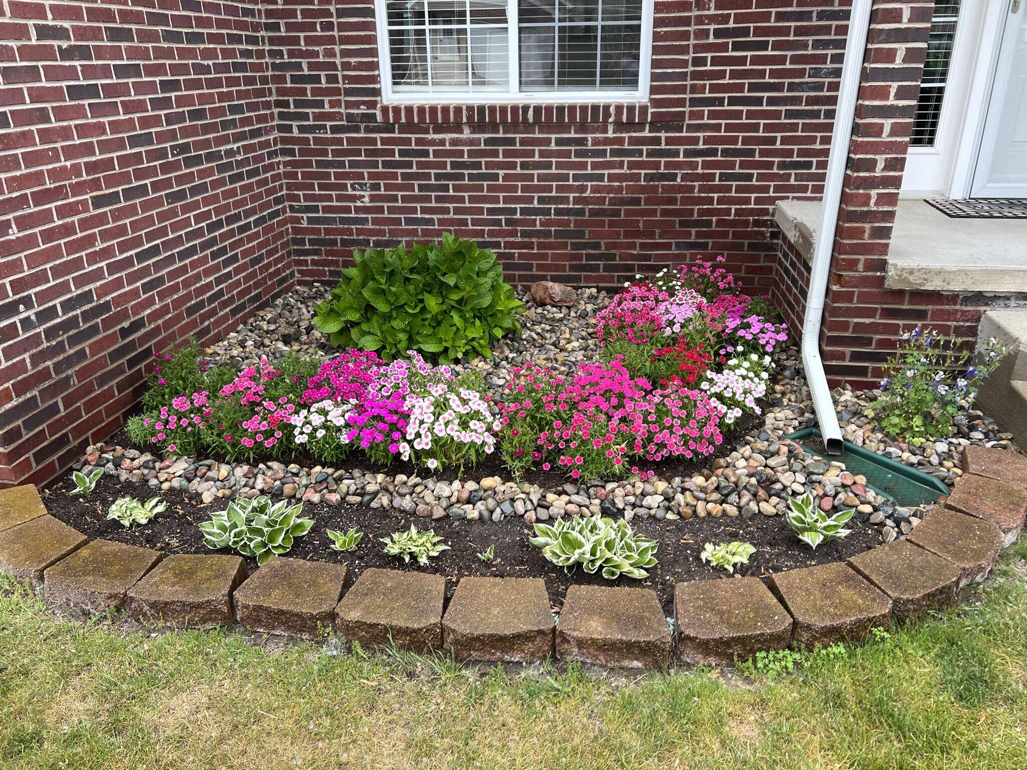 1207 E Oak DR, Fenton, MI 48430