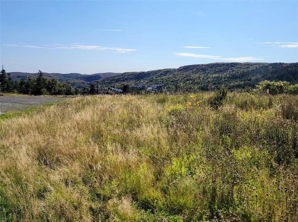 227 Maddox Cove Road, St. John's, NL A1B 2N5