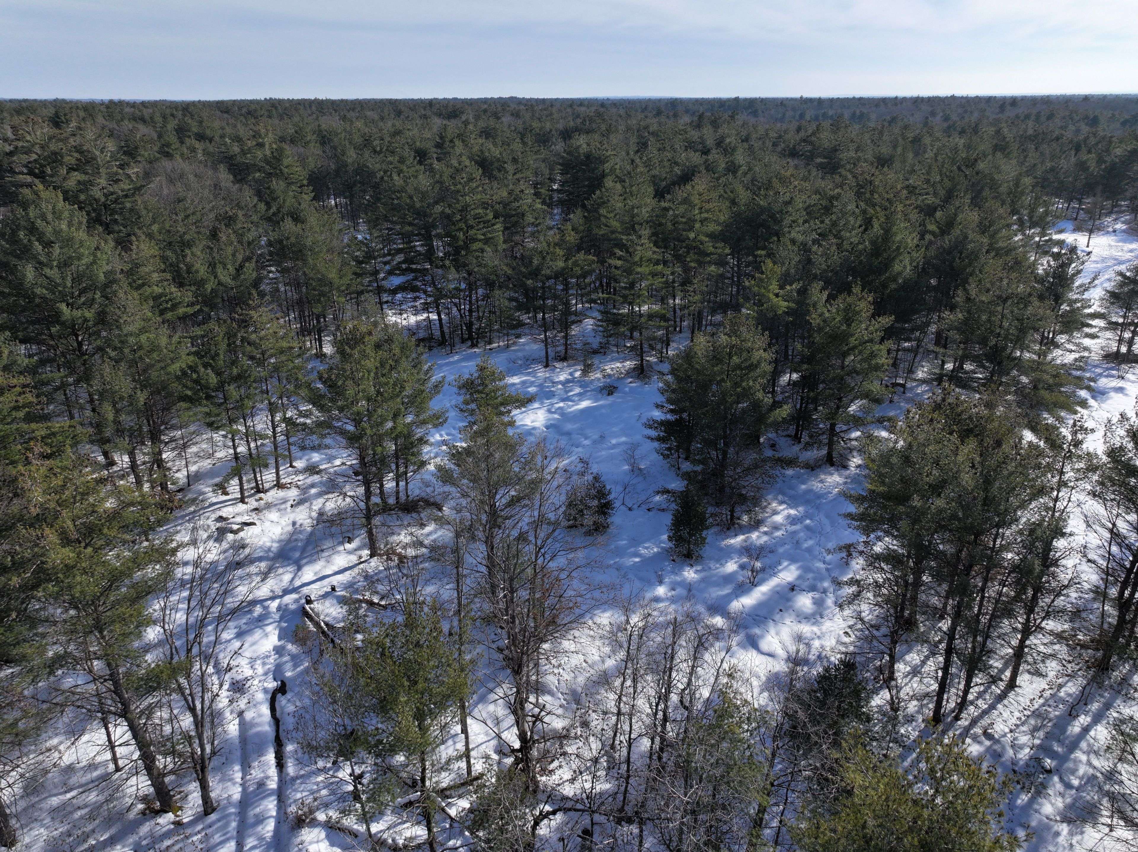 2503 Southwood RD, Gravenhurst, ON P0E 1G0