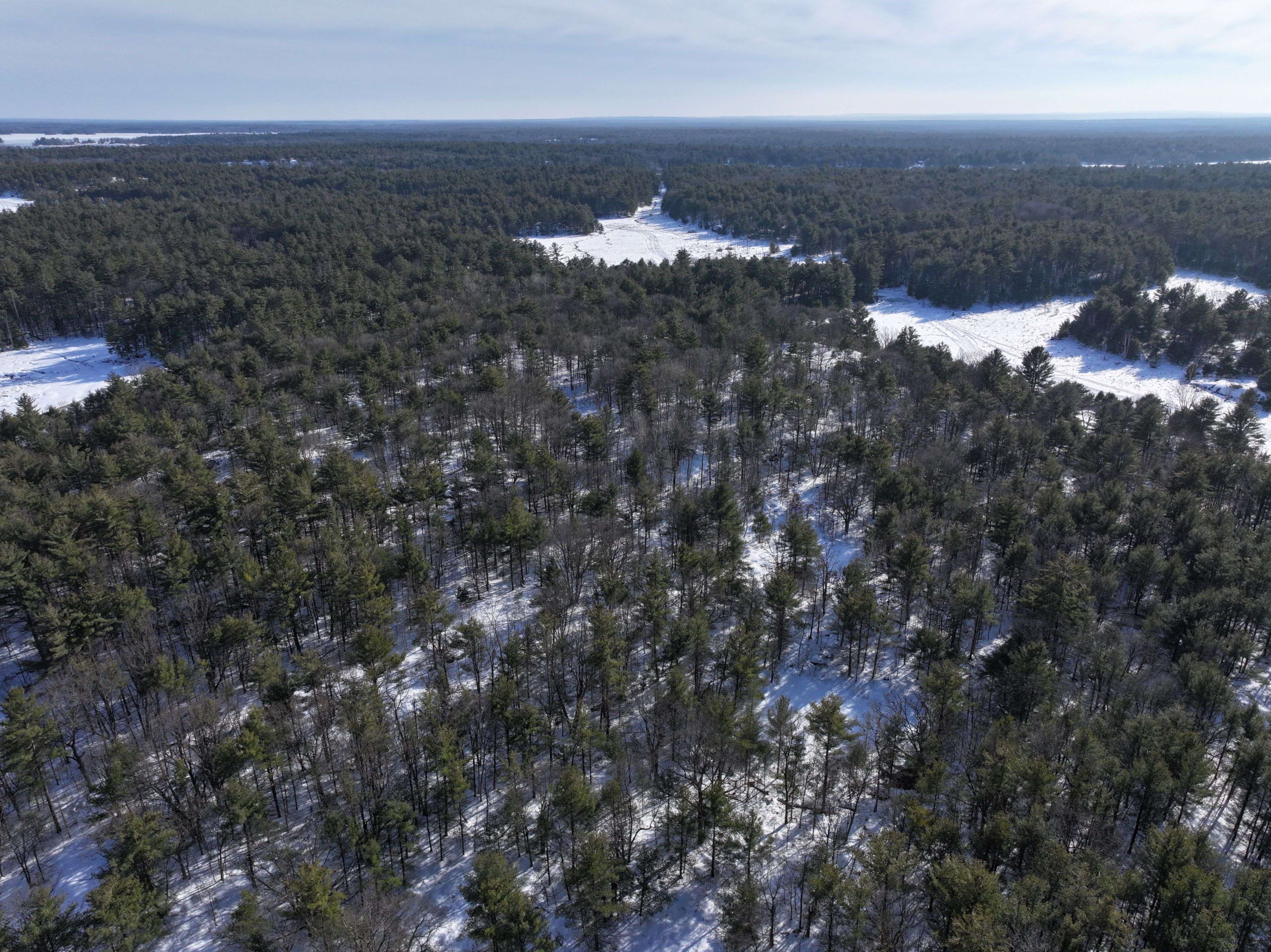 2503 Southwood RD, Gravenhurst, ON P0E 1G0