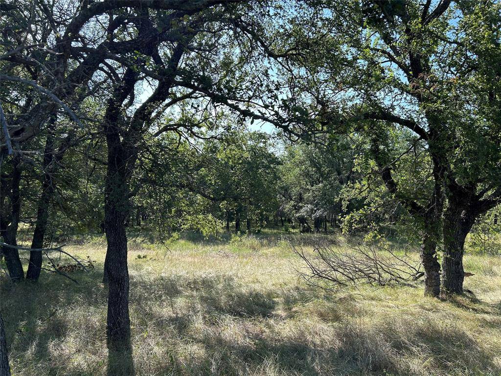 TBD Pr-3414, Bridgeport, TX 76426