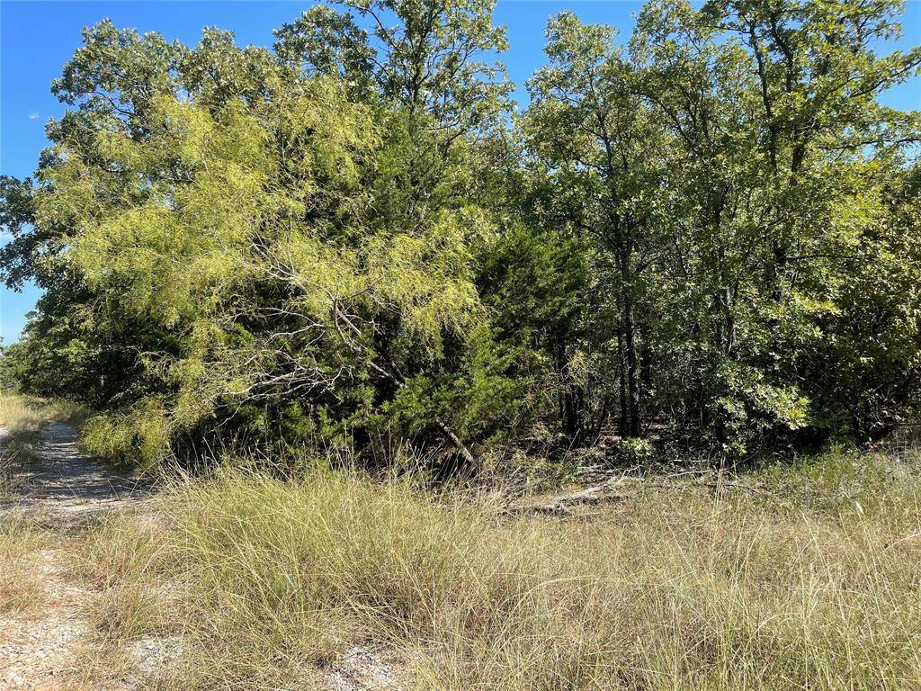 T B D FM 2127, Bowie, TX 76230