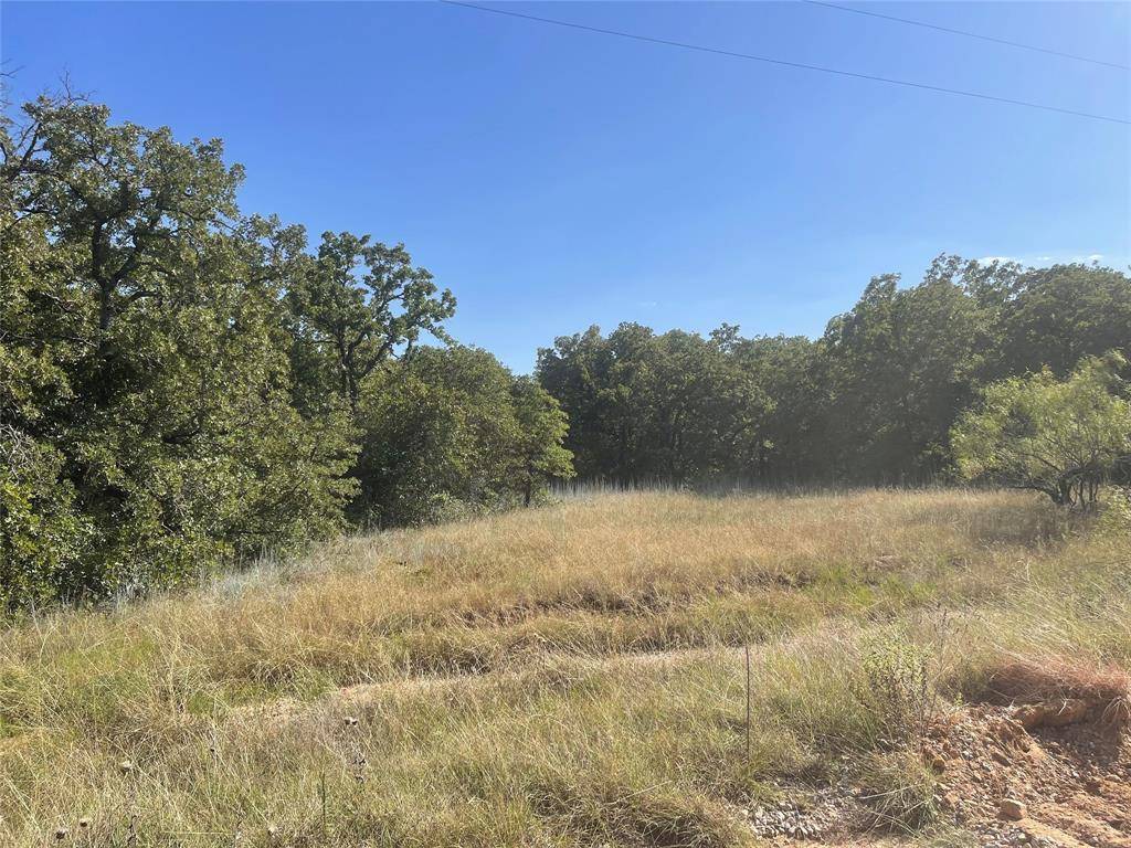 T B D FM 2127, Bowie, TX 76230